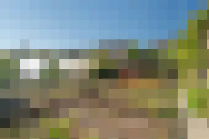 Zandweg 41 Kruiningen thumbnail 4