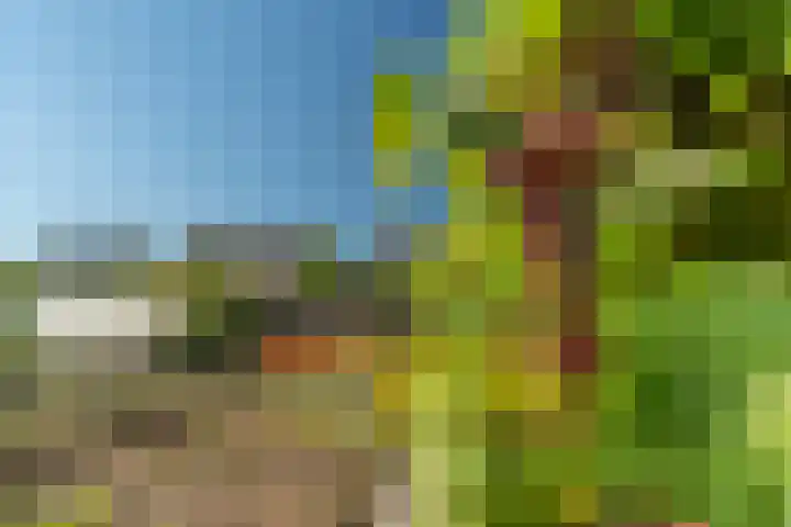 Zandweg 41 Kruiningen thumbnail 40