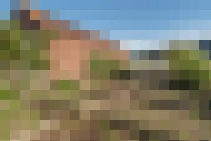 Zandweg 41 Kruiningen thumbnail 41