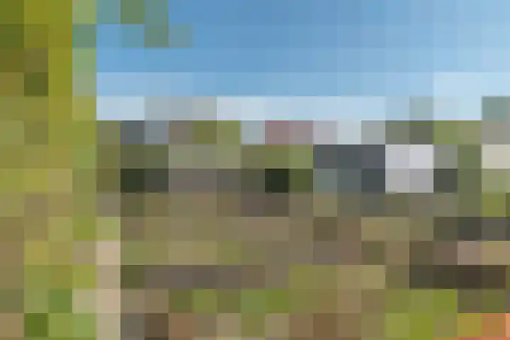 Zandweg 41 Kruiningen thumbnail 42