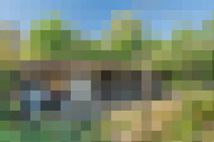 Zandweg 41 Kruiningen thumbnail 43