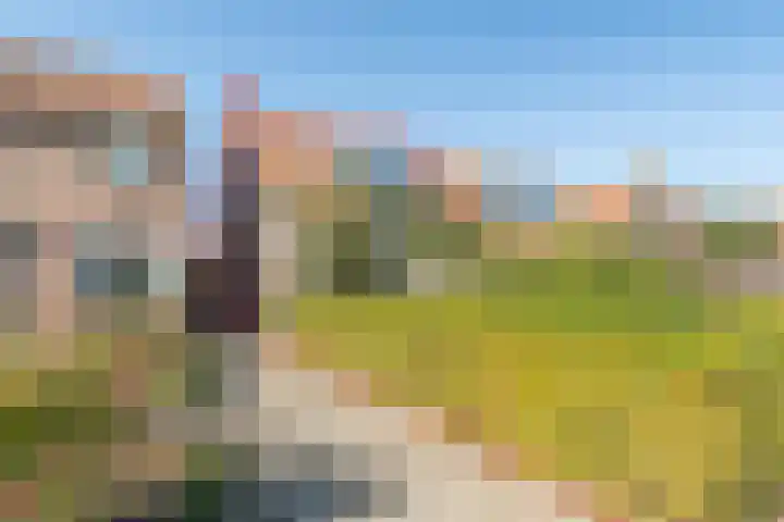 Zandweg 41 Kruiningen thumbnail 46