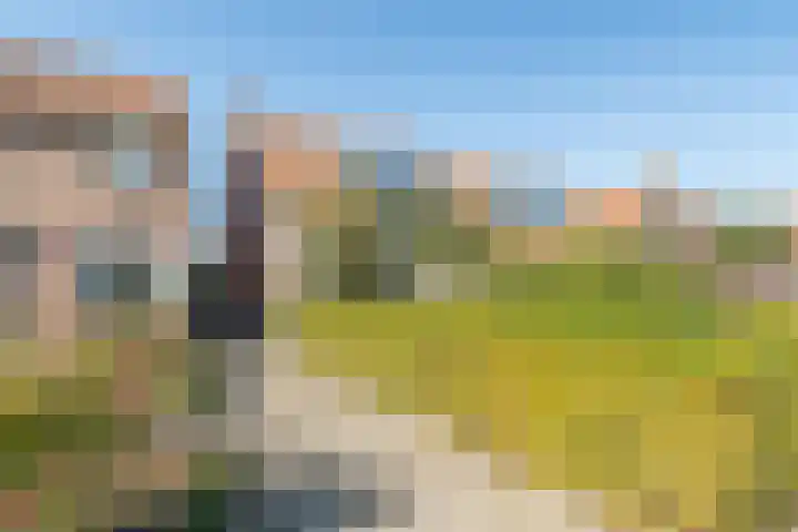 Zandweg 41 Kruiningen thumbnail 56
