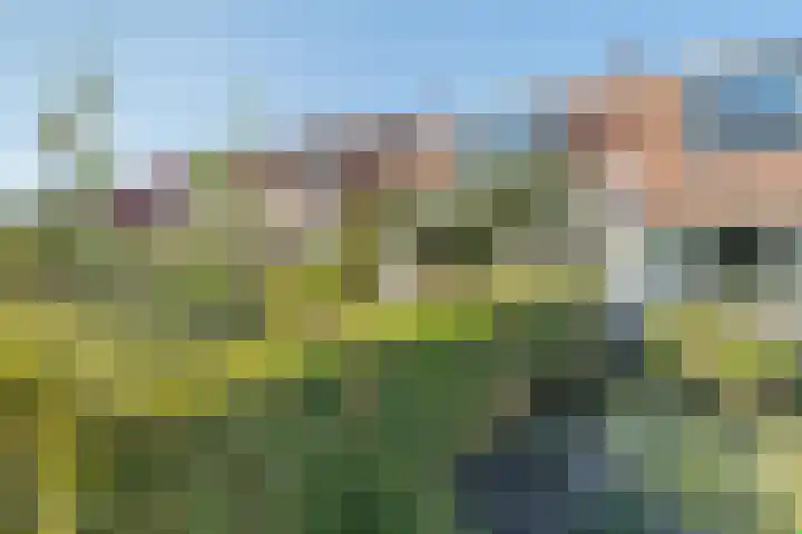 Zandweg 41 Kruiningen thumbnail 7