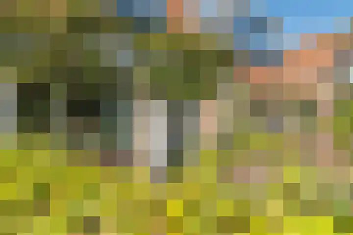 Zandweg 41 Kruiningen thumbnail 8