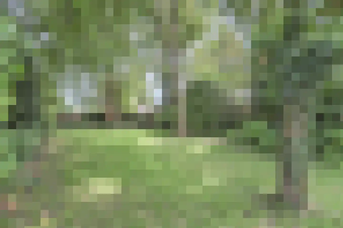 Zandweg 41 Maarssen thumbnail 31