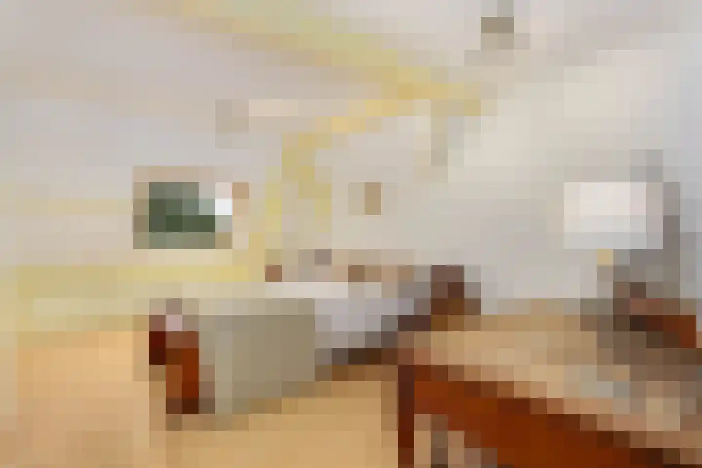 Zandweg 41 Maarssen thumbnail 49