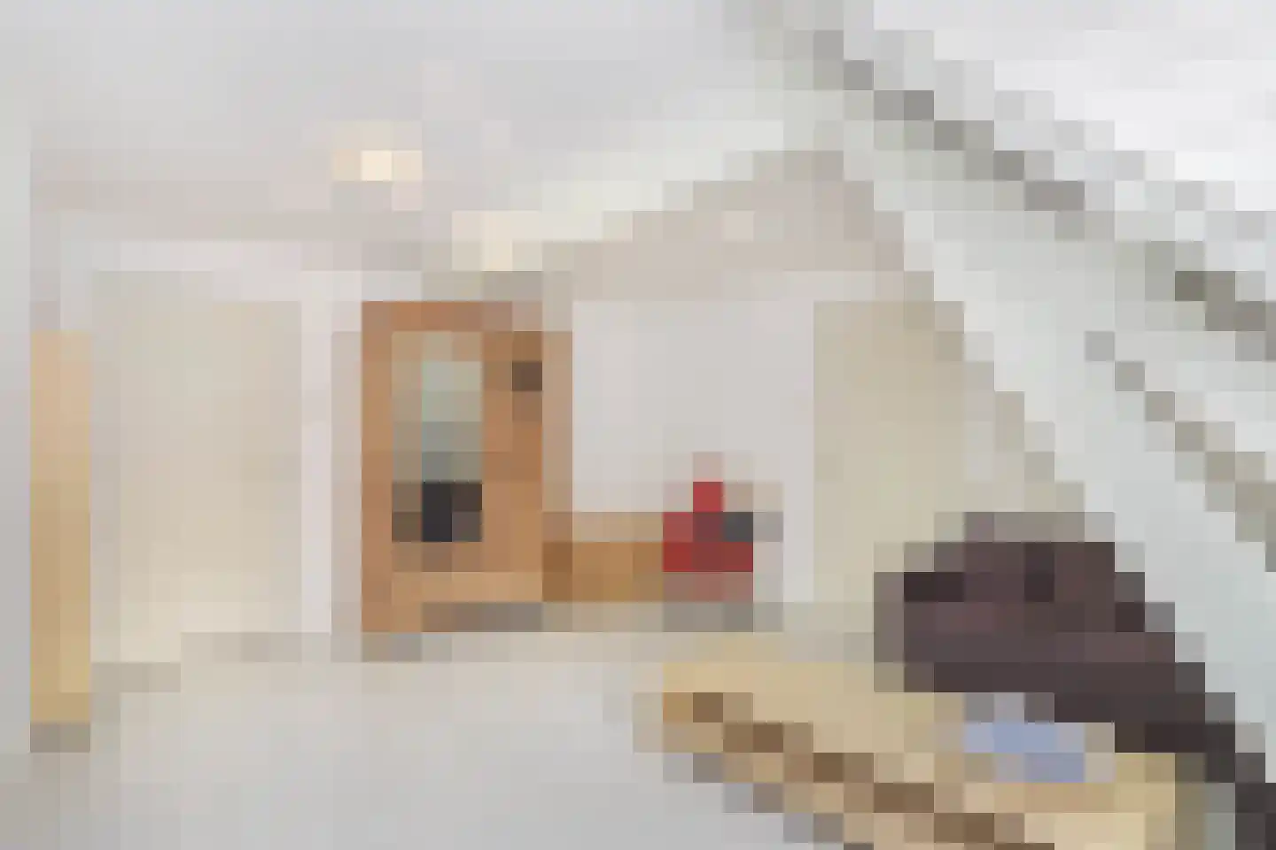 Zandweg 41 Maarssen thumbnail 55