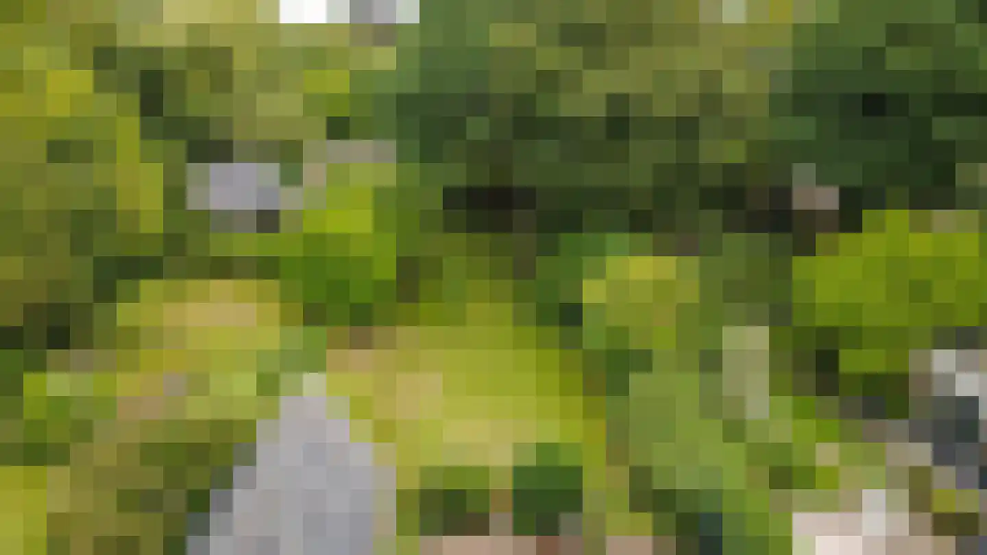 Zandweg 41 Maarssen thumbnail 77