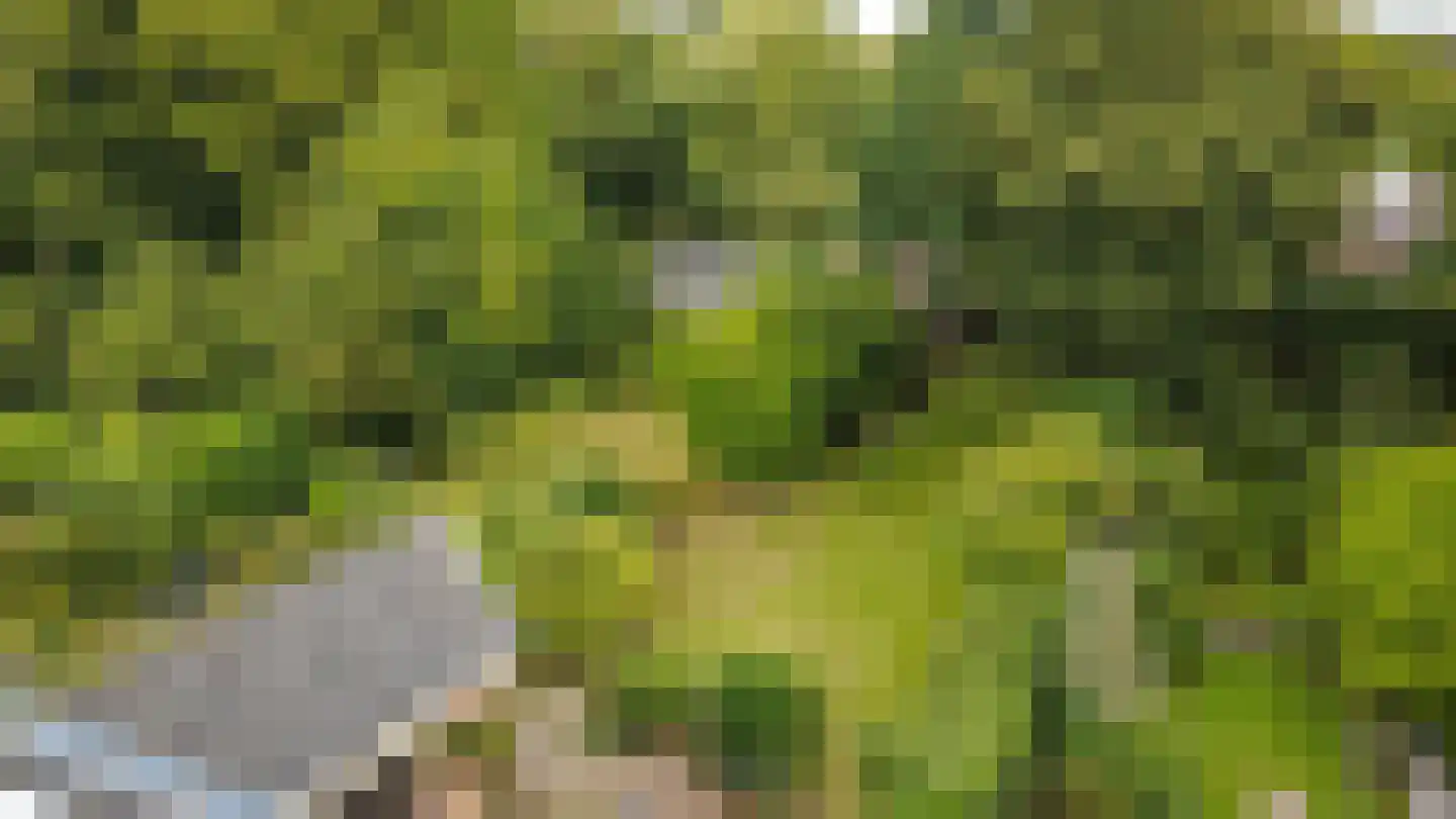 Zandweg 41 Maarssen thumbnail 78