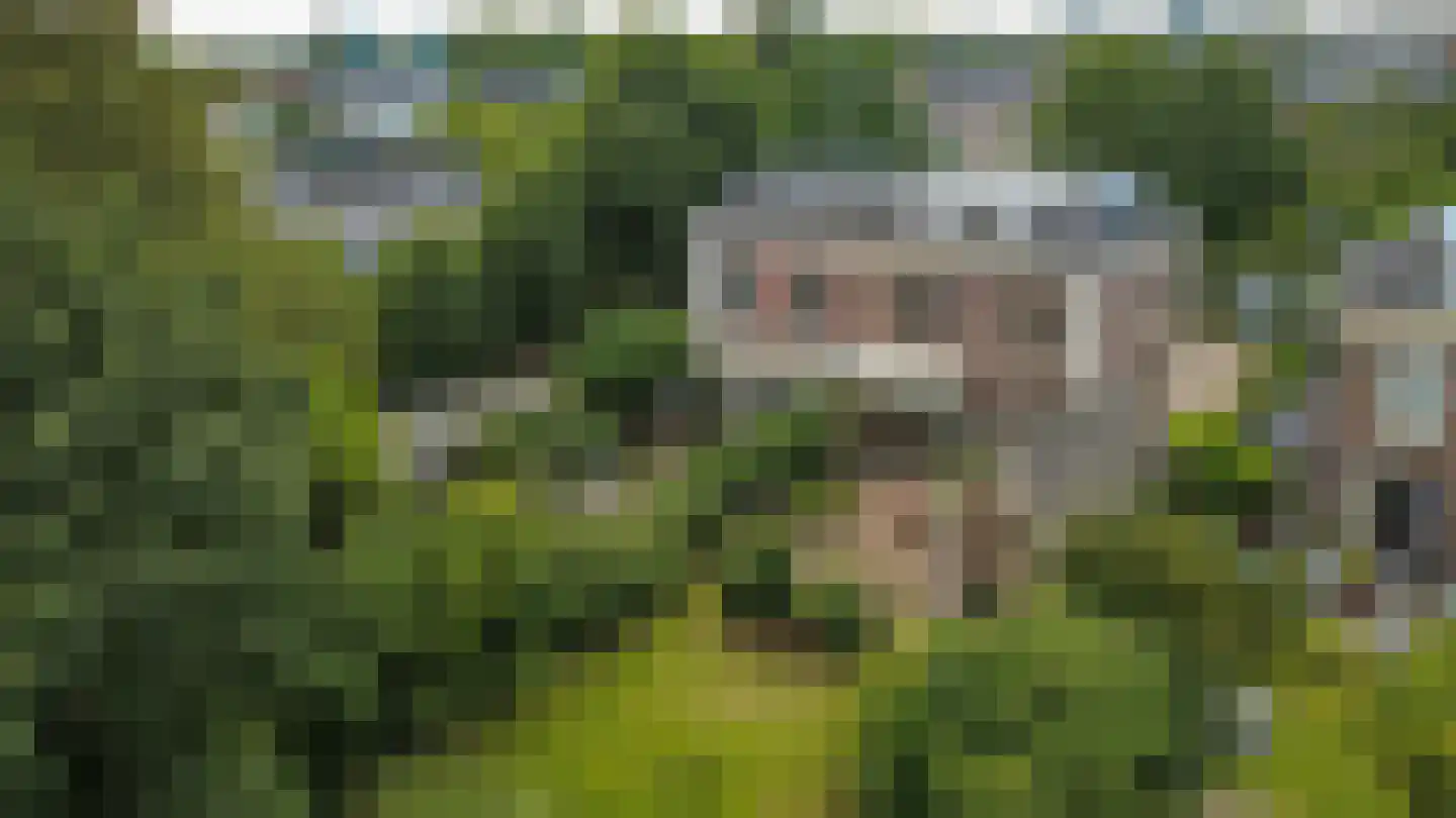 Zandweg 41 Maarssen thumbnail 79