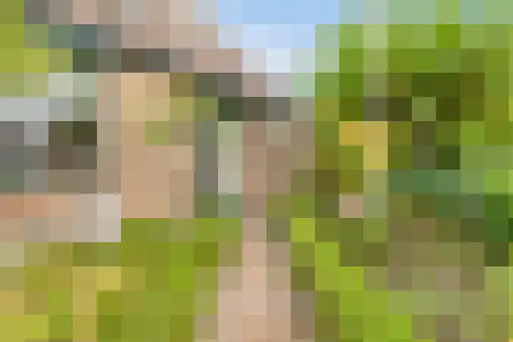 Zandweg 43 Burgh-Haamstede thumbnail 32