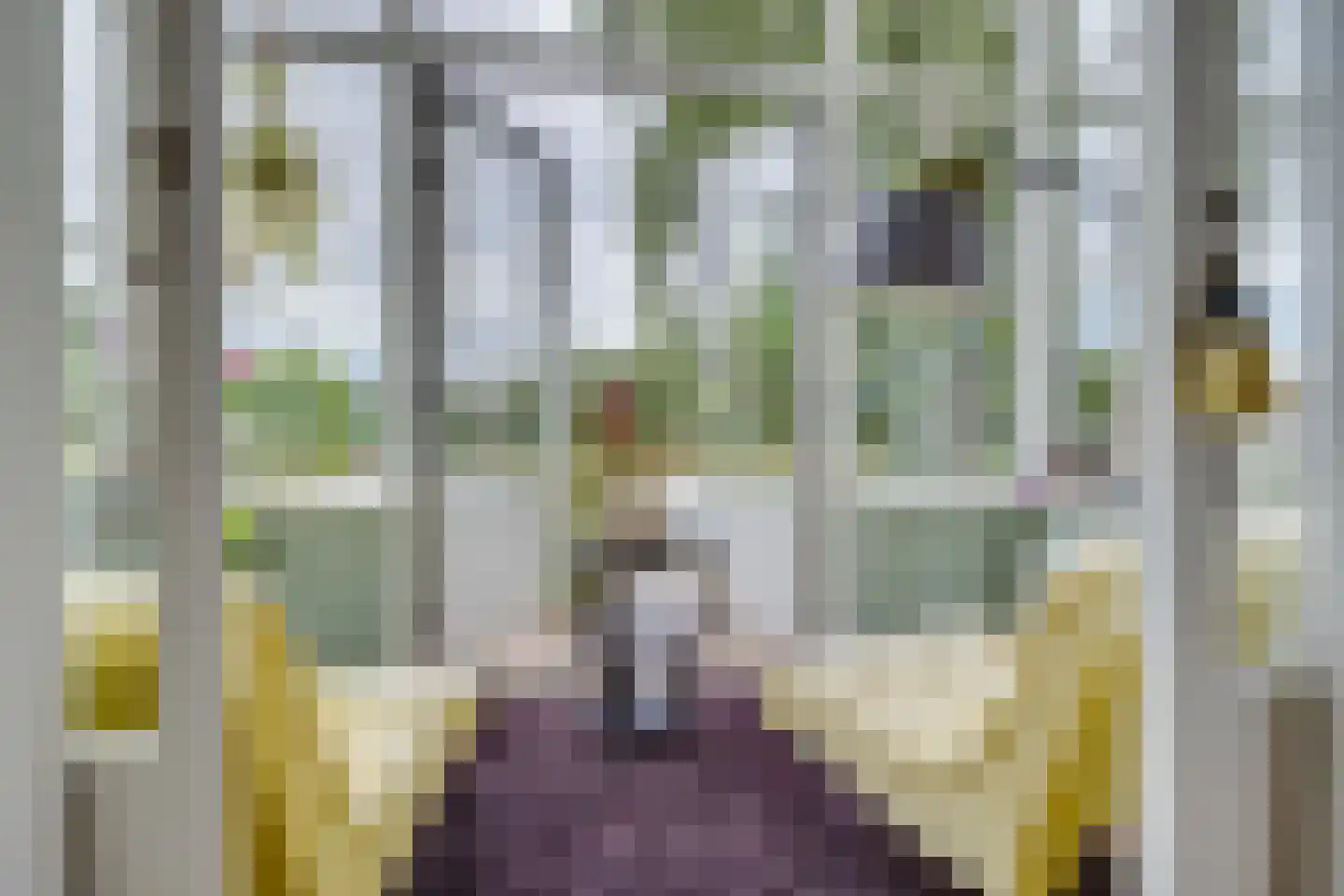 Zandweg 43 Maarssen thumbnail 11