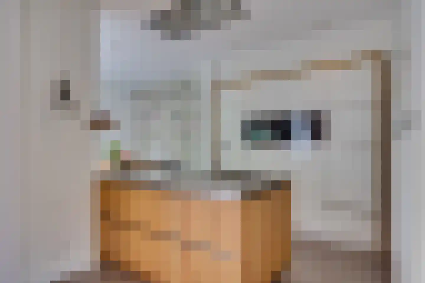 Zandweg 43 Maarssen thumbnail 16