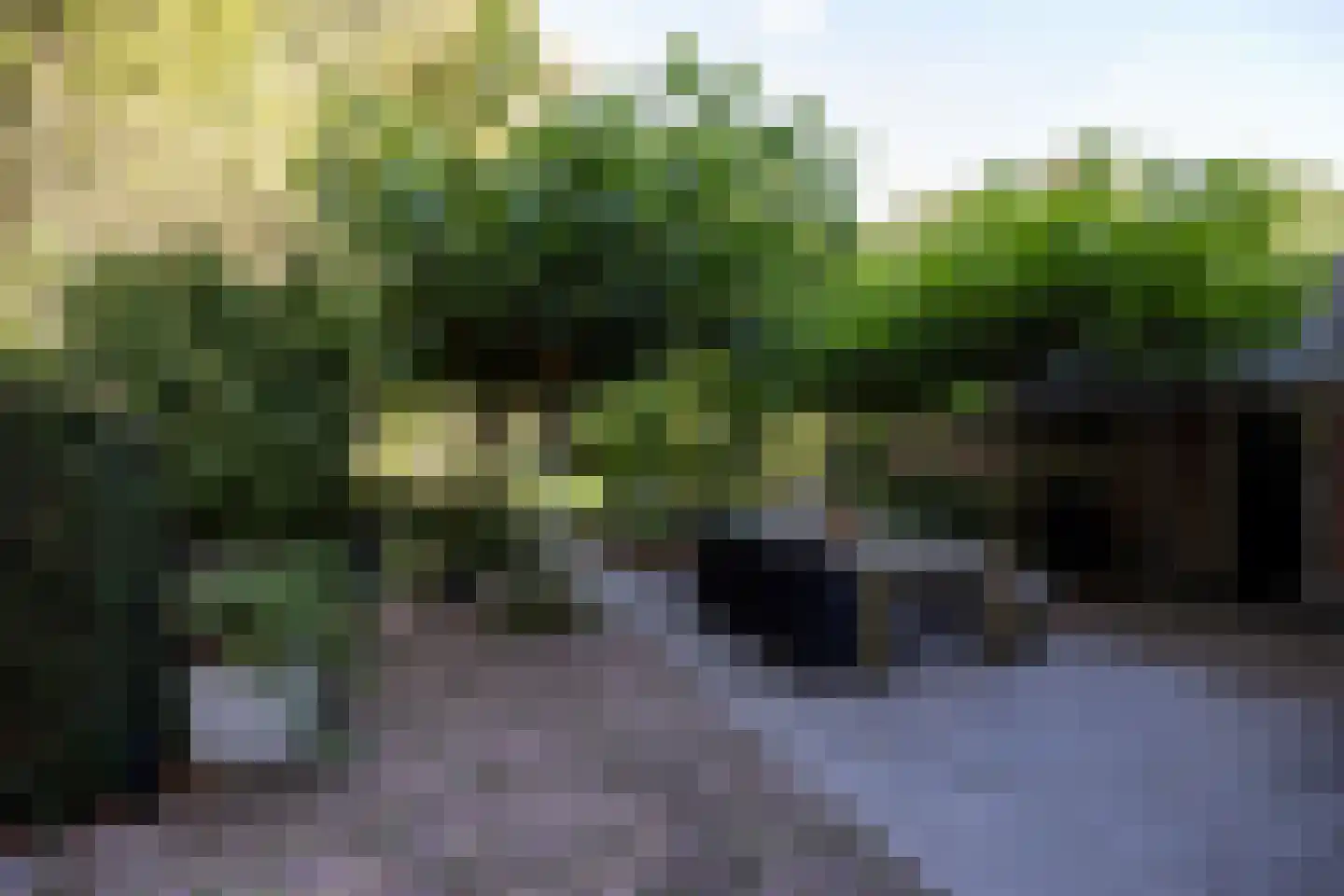 Zandweg 43 Maarssen thumbnail 20