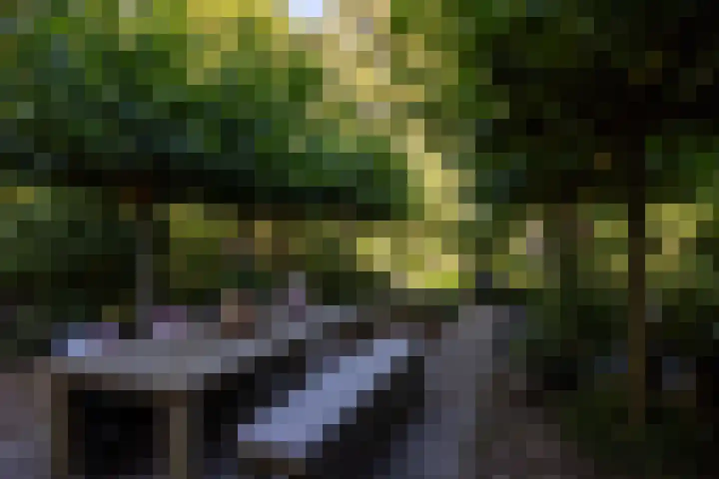 Zandweg 43 Maarssen thumbnail 21