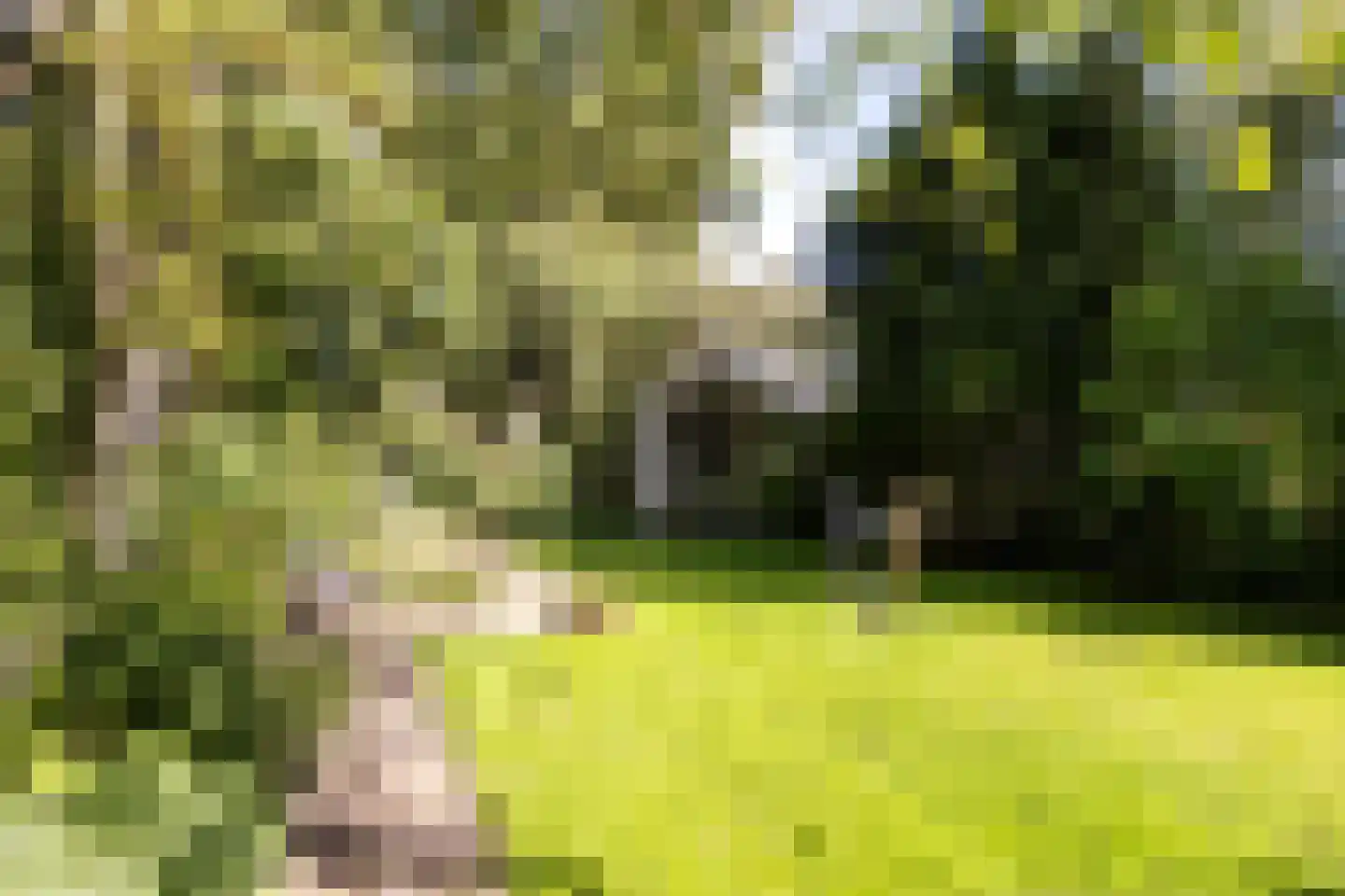 Zandweg 43 Maarssen thumbnail 23
