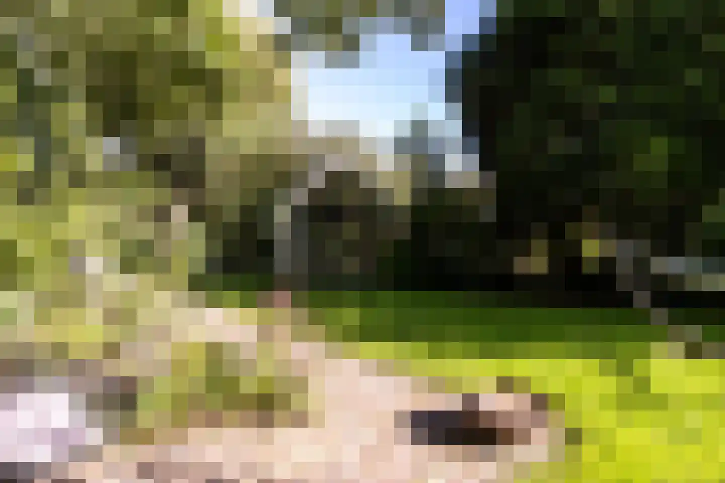 Zandweg 43 Maarssen thumbnail 24
