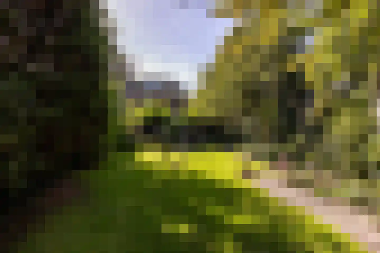 Zandweg 43 Maarssen thumbnail 25