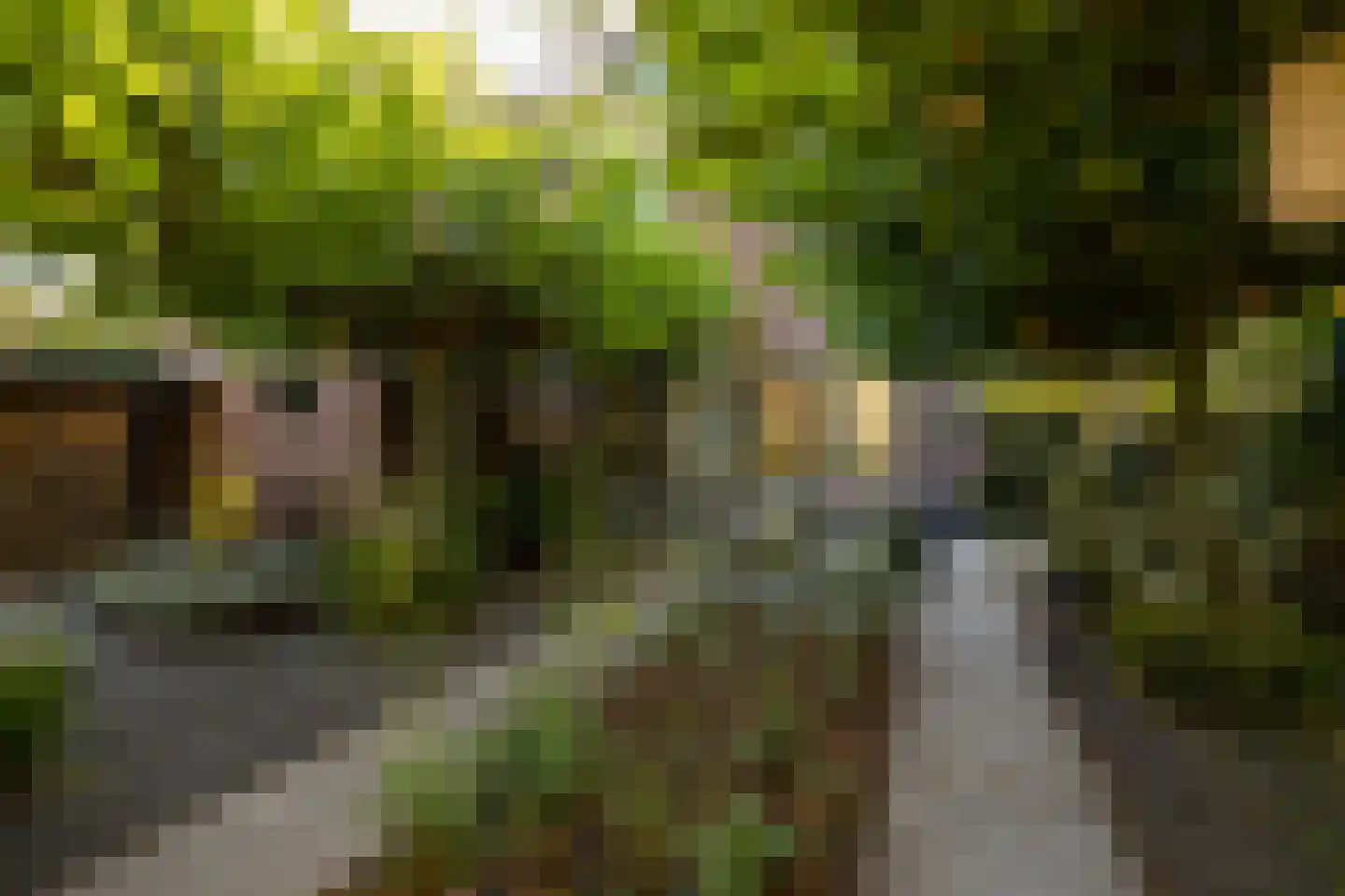Zandweg 43 Maarssen thumbnail 26