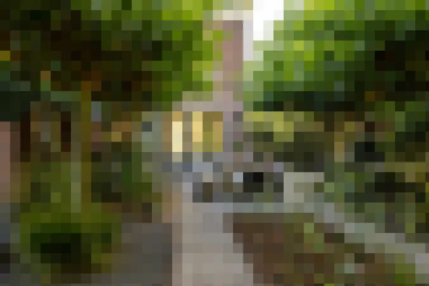 Zandweg 43 Maarssen thumbnail 27