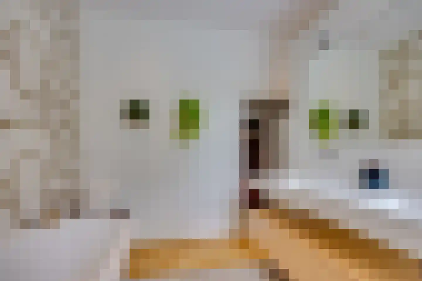 Zandweg 43 Maarssen thumbnail 34