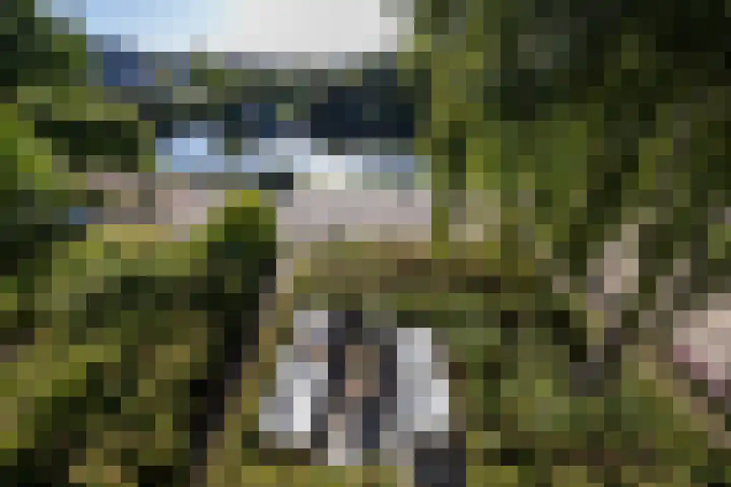 Zandweg 43 Maarssen thumbnail 40