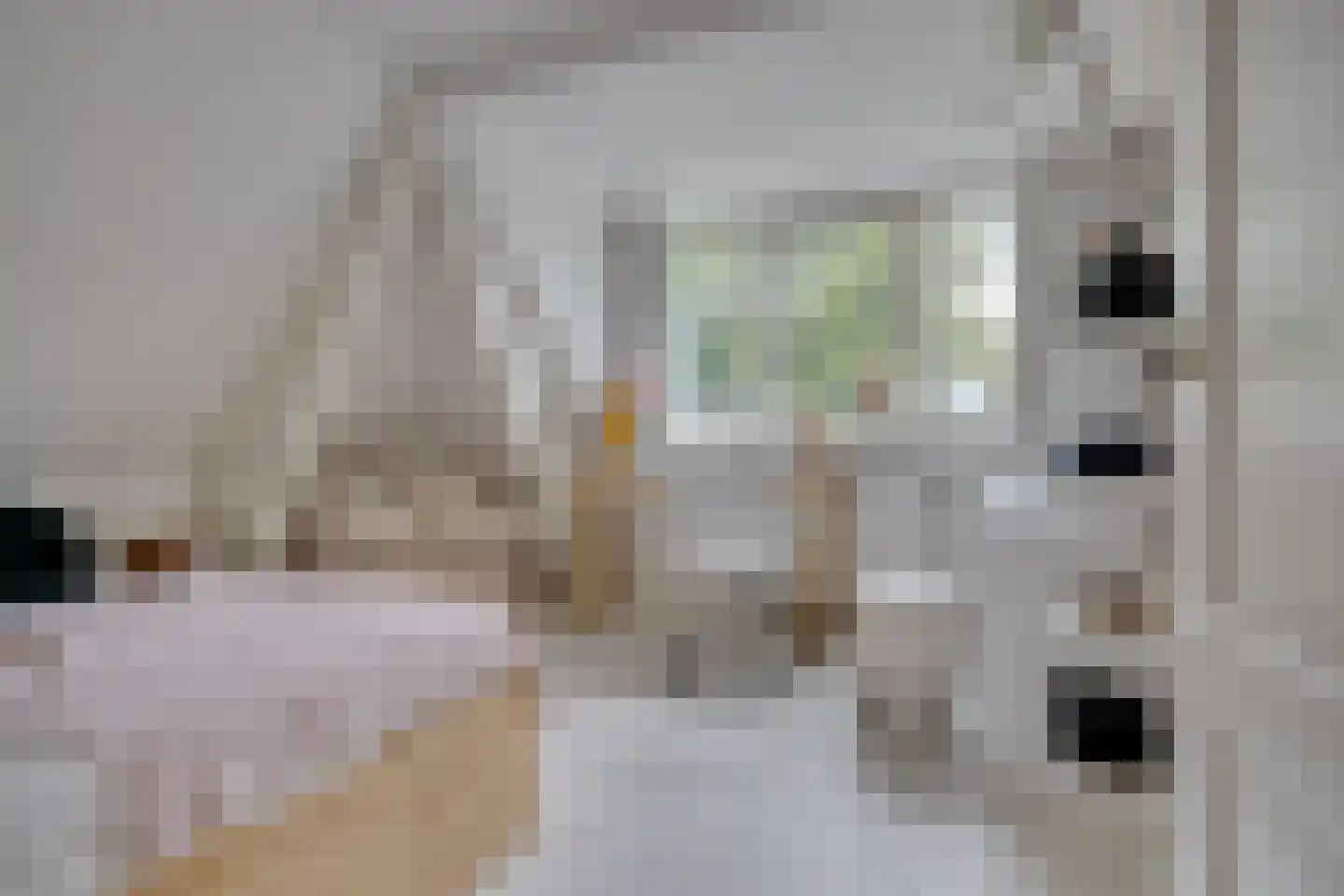 Zandweg 43 Maarssen thumbnail 44