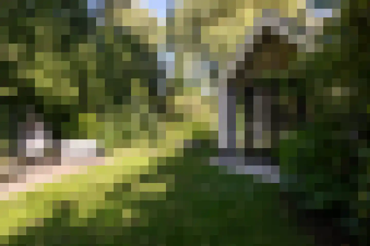 Zandweg 43 Maarssen thumbnail 53