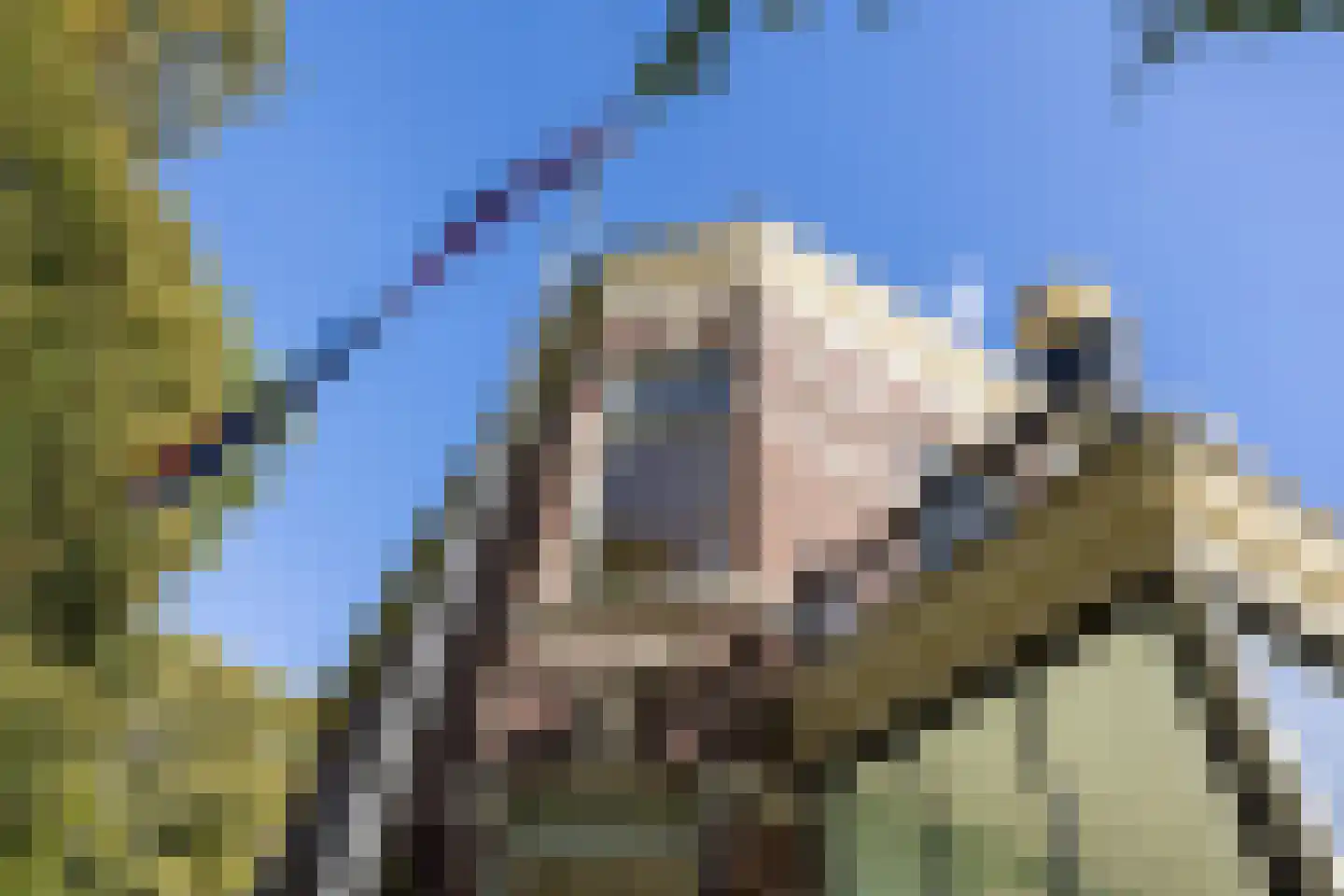 Zandweg 43 Maarssen thumbnail 6