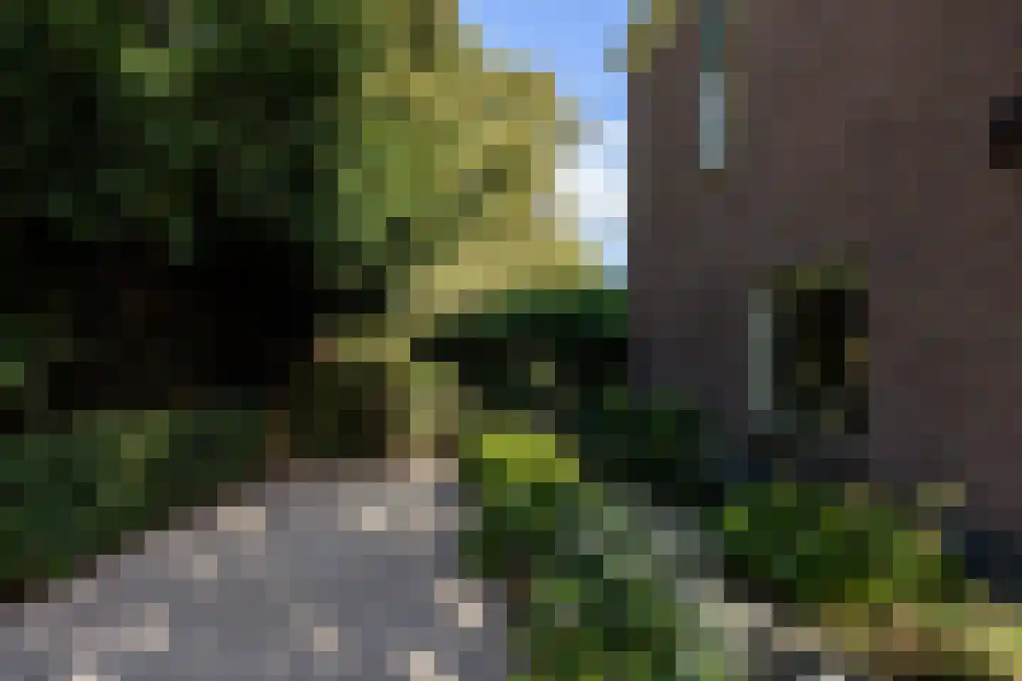 Zandweg 43 Maarssen thumbnail 61