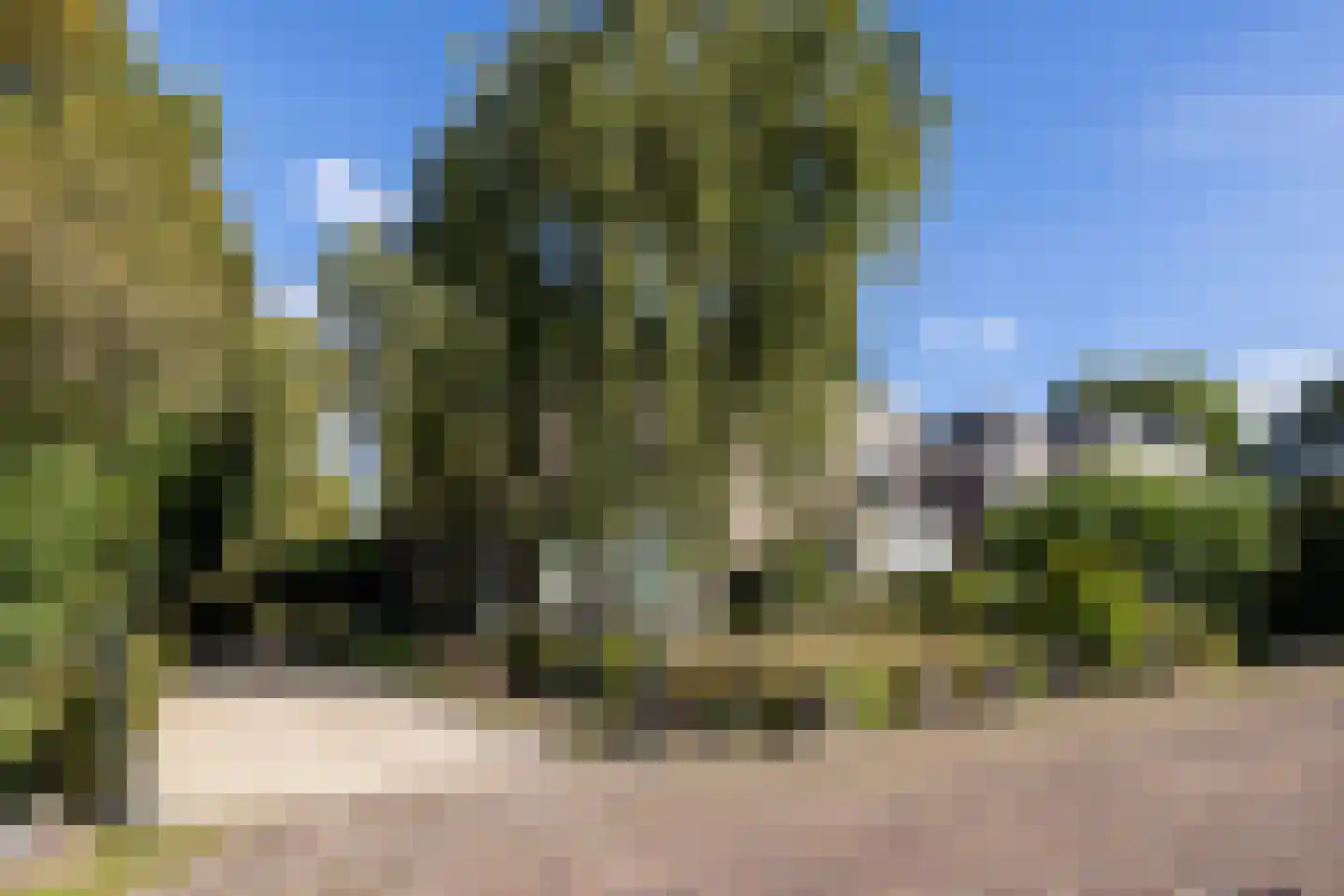 Zandweg 43 Maarssen thumbnail 62