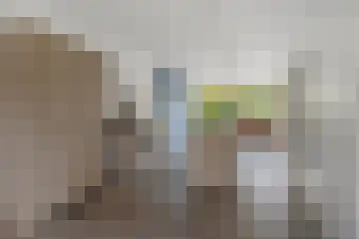 Zandweg 46 De Meern thumbnail 11