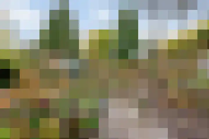 Zandweg 46 De Meern thumbnail 31