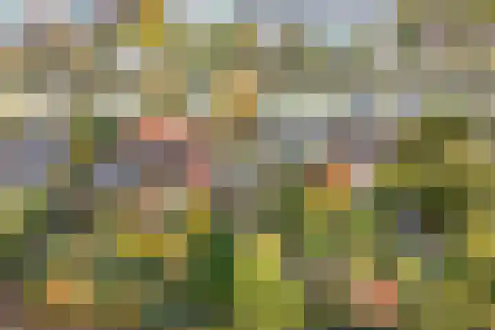 Zandweg 46 De Meern thumbnail 36