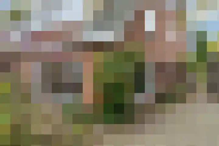 Zandweg 46 De Meern thumbnail 5
