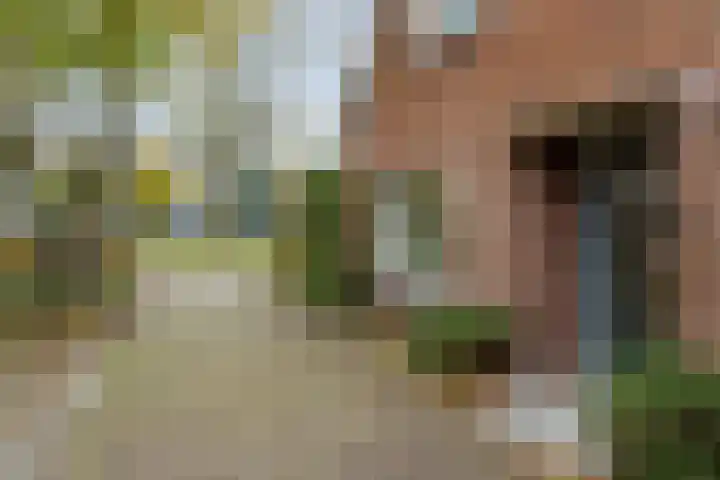 Zandweg 46 De Meern thumbnail 6
