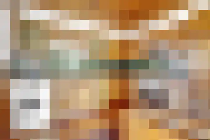 Zandweg 47 Wijk bij Duurstede thumbnail 13