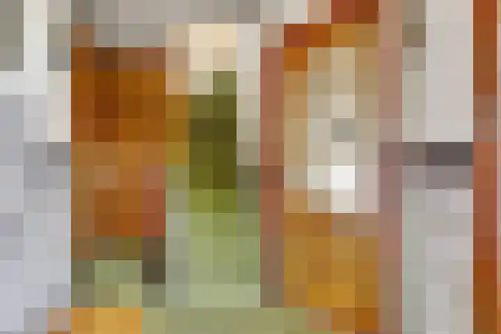 Zandweg 47 Wijk bij Duurstede thumbnail 18