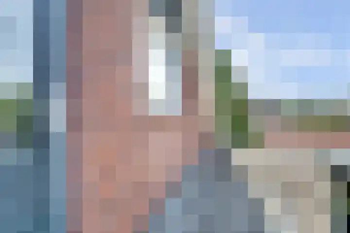 Zandweg 47 Wijk bij Duurstede thumbnail 25