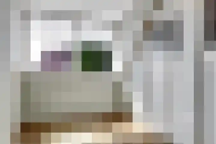 Zandweg 47 Wijk bij Duurstede thumbnail 28
