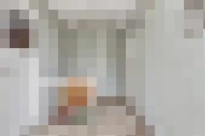 Zandweg 47 Wijk bij Duurstede thumbnail 29
