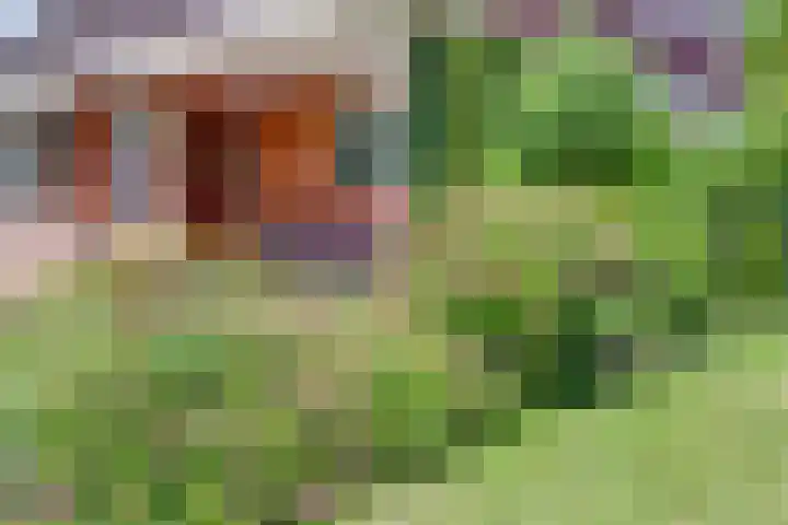 Zandweg 47 Wijk bij Duurstede thumbnail 32