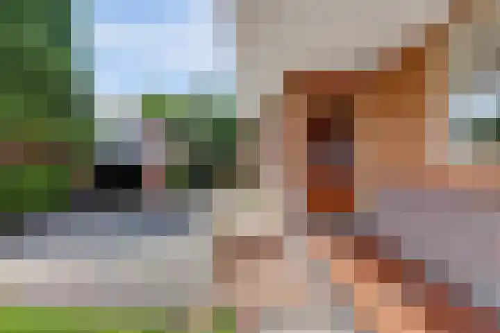 Zandweg 47 Wijk bij Duurstede thumbnail 34