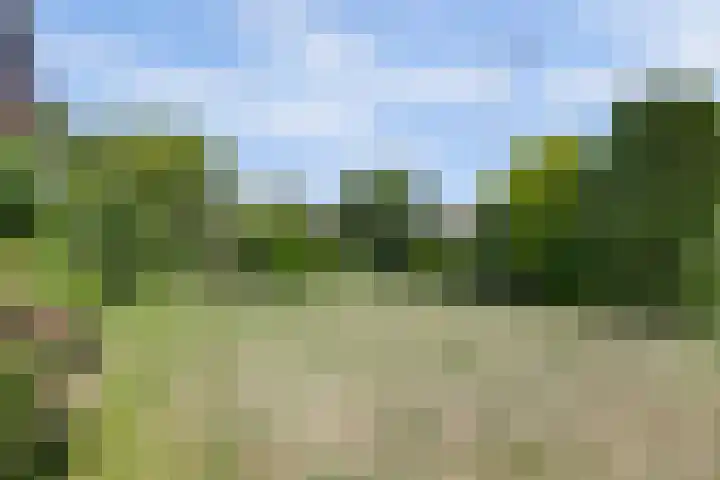 Zandweg 47 Wijk bij Duurstede thumbnail 37