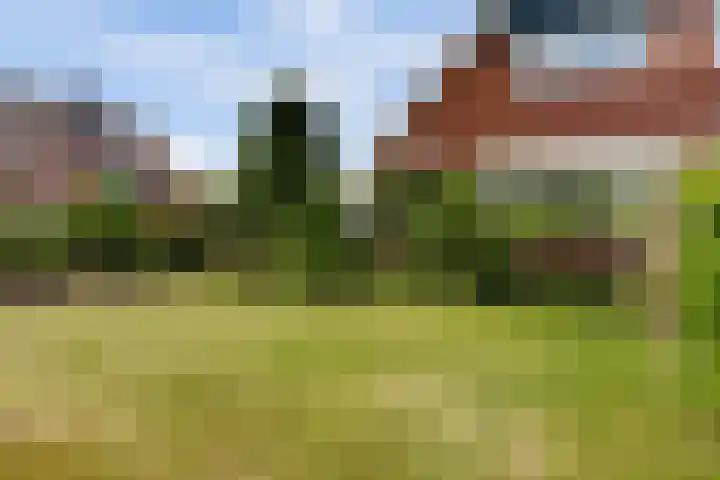 Zandweg 47 Wijk bij Duurstede thumbnail 40