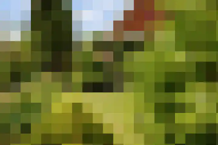 Zandweg 47 Wijk bij Duurstede thumbnail 41