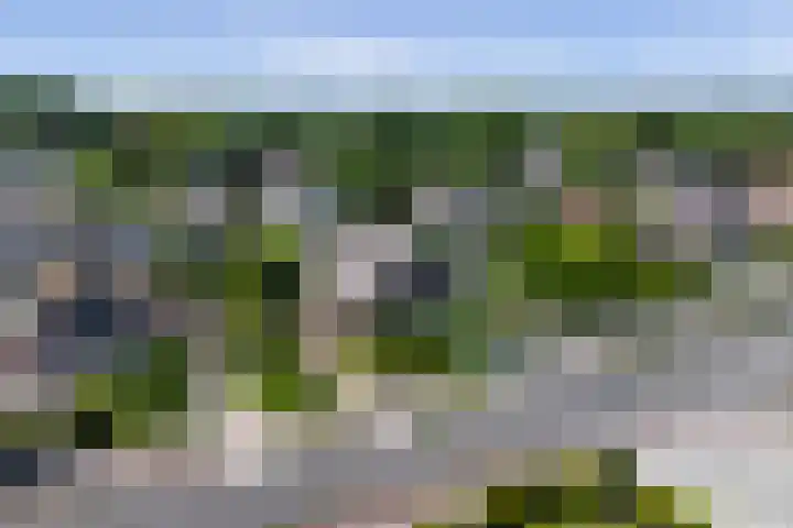 Zandweg 47 Wijk bij Duurstede thumbnail 44