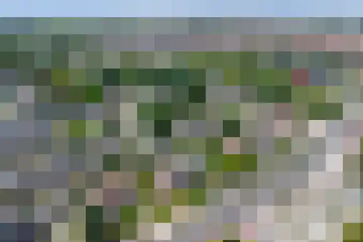 Zandweg 47 Wijk bij Duurstede thumbnail 45