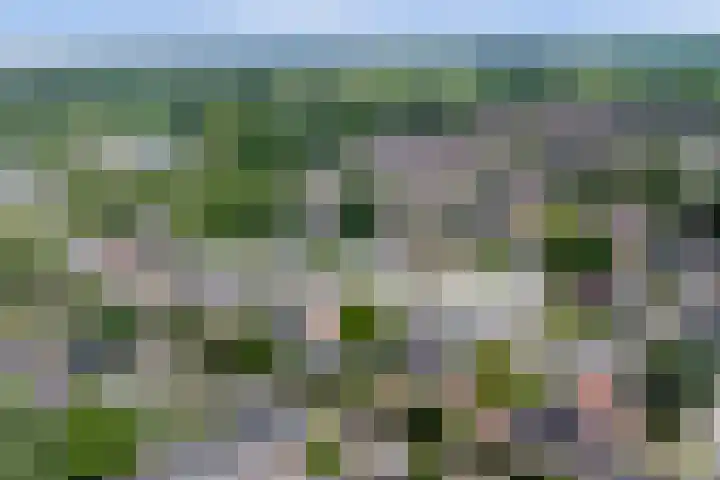 Zandweg 47 Wijk bij Duurstede thumbnail 46